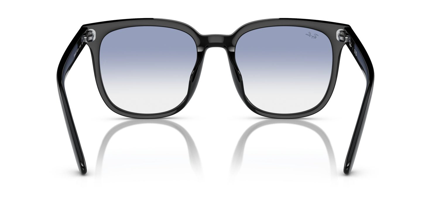 Ray-Ban | 0RB4401D