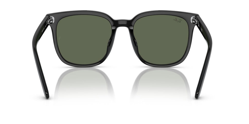Ray-Ban | 0RB4401D