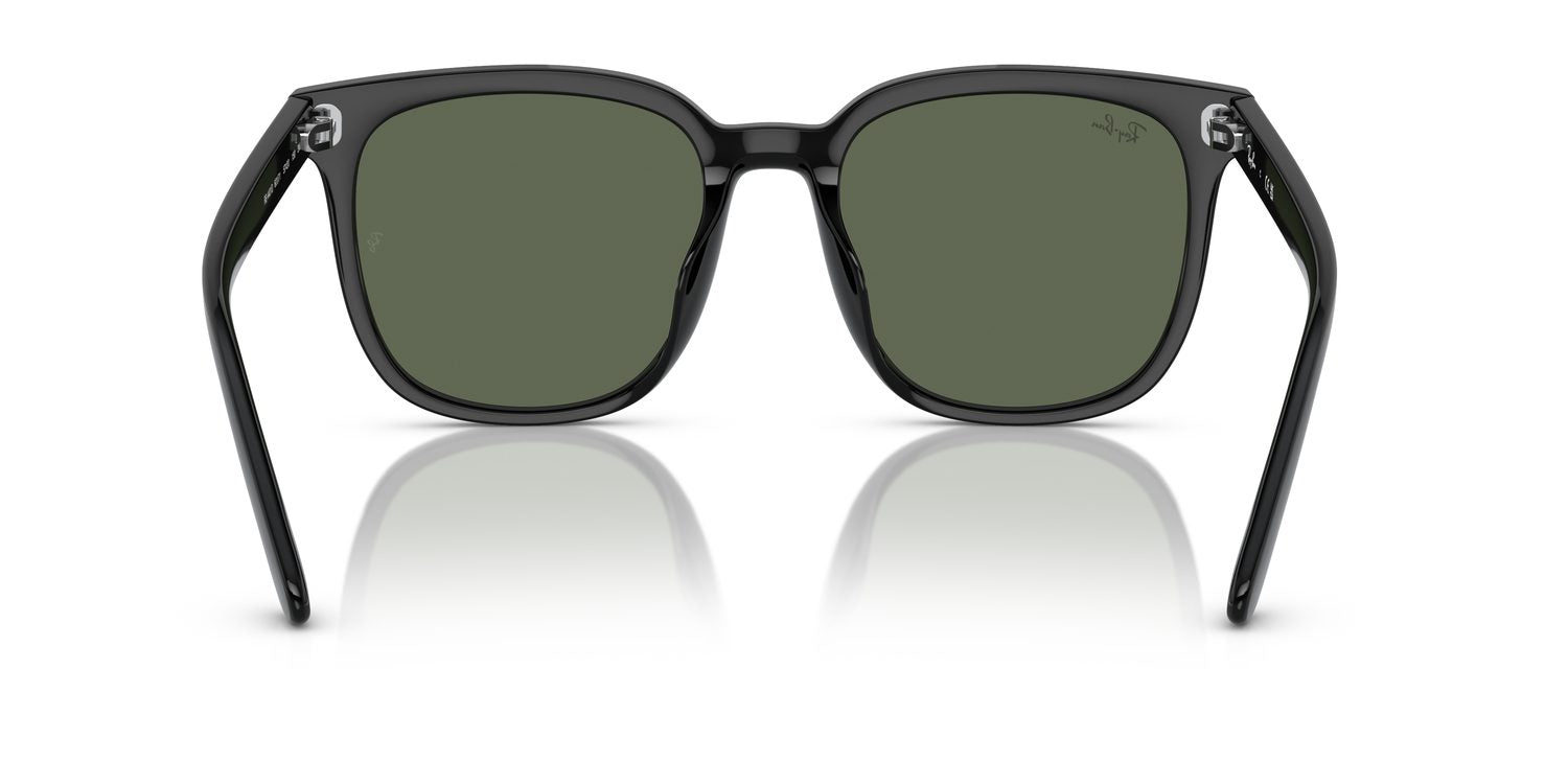 Ray-Ban | 0RB4401D