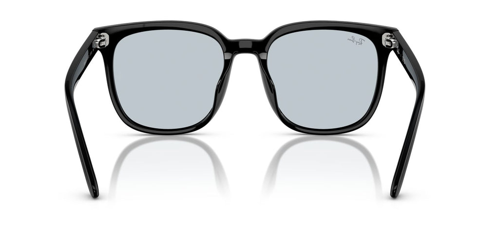 Ray-Ban | 0RB4401D