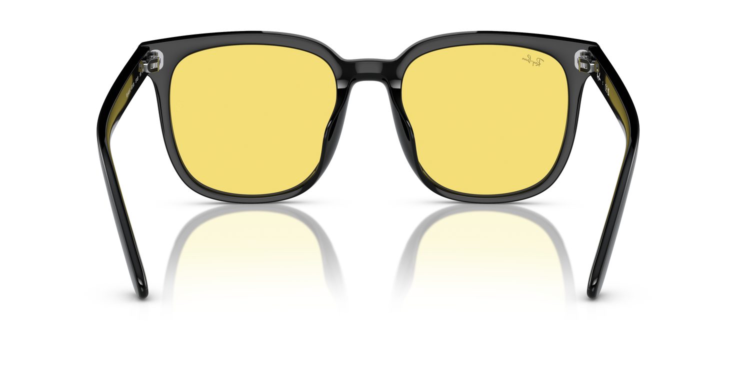 Ray-Ban | 0RB4401D