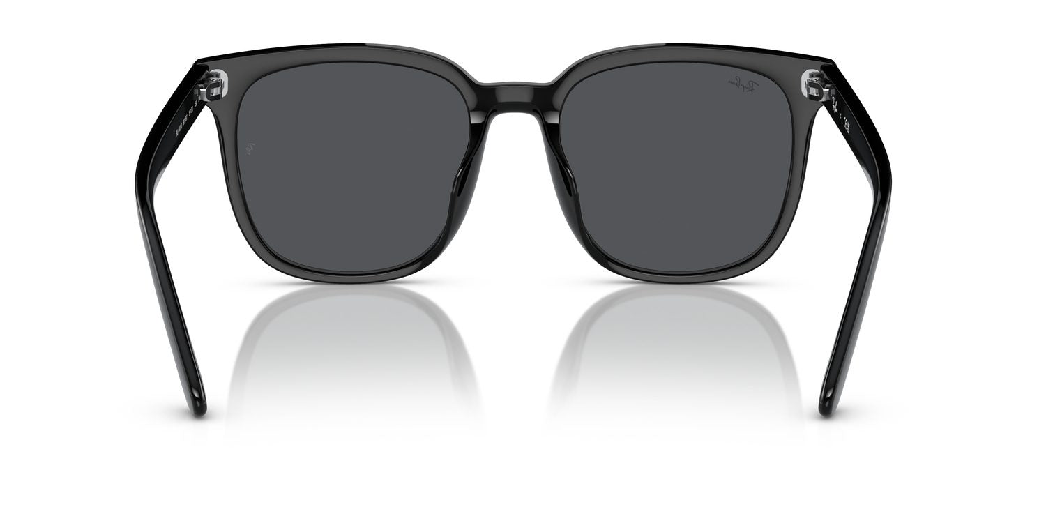 Ray-Ban | 0RB4401D