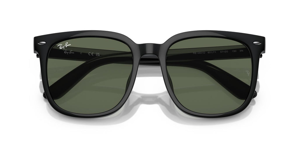 Ray-Ban | 0RB4401D