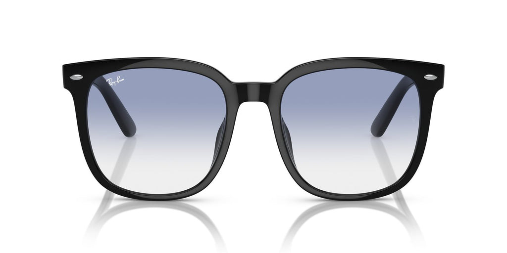 Ray-Ban | 0RB4401D