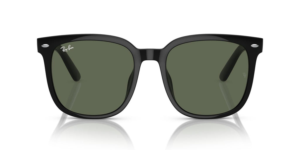 Ray-Ban | 0RB4401D