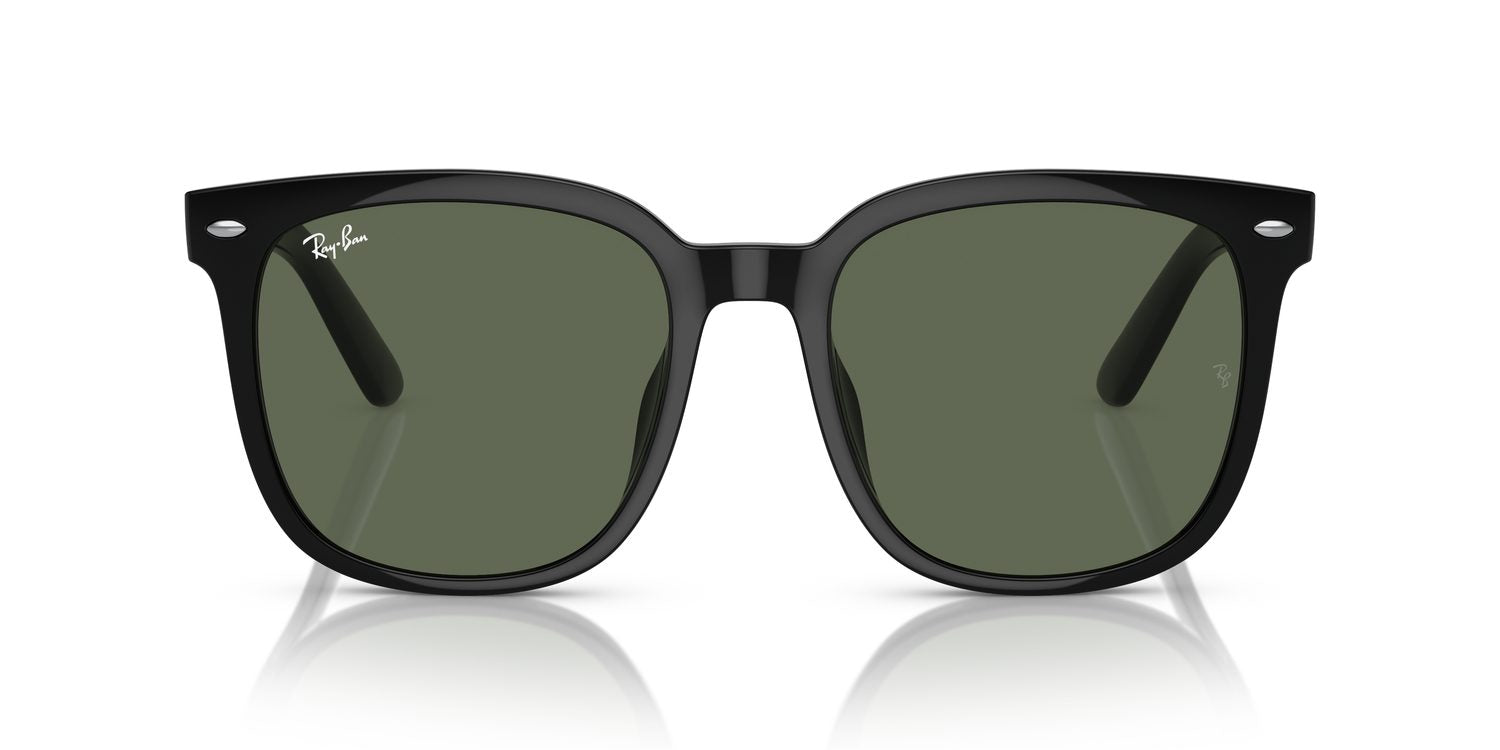 Ray-Ban | 0RB4401D