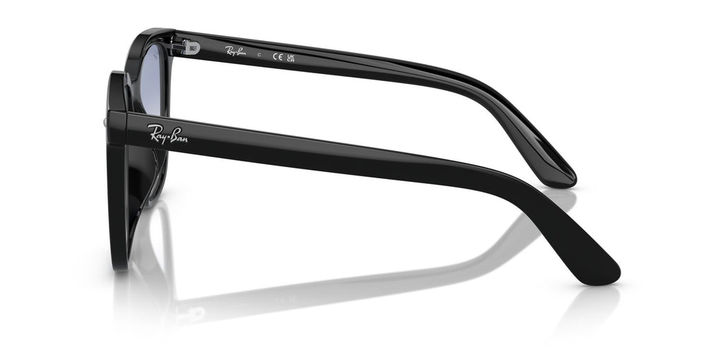 Ray-Ban | 0RB4401D