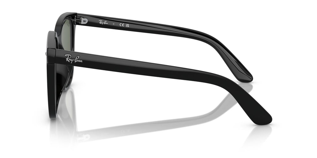 Ray-Ban | 0RB4401D