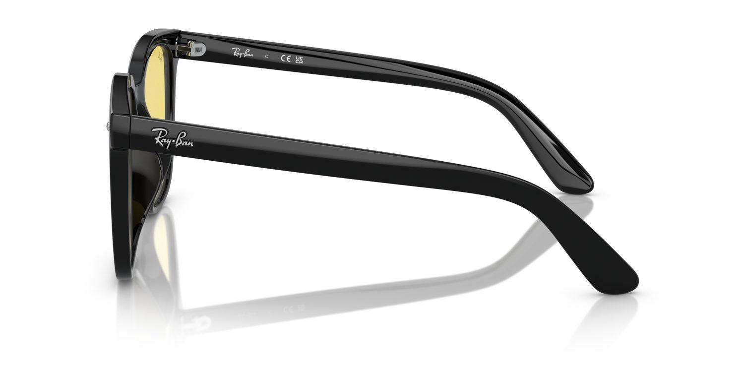 Ray-Ban | 0RB4401D