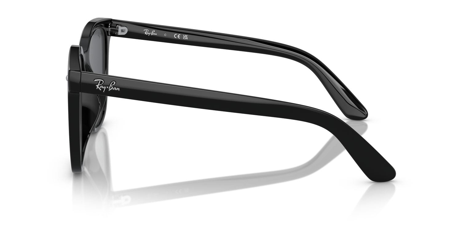 Ray-Ban | 0RB4401D