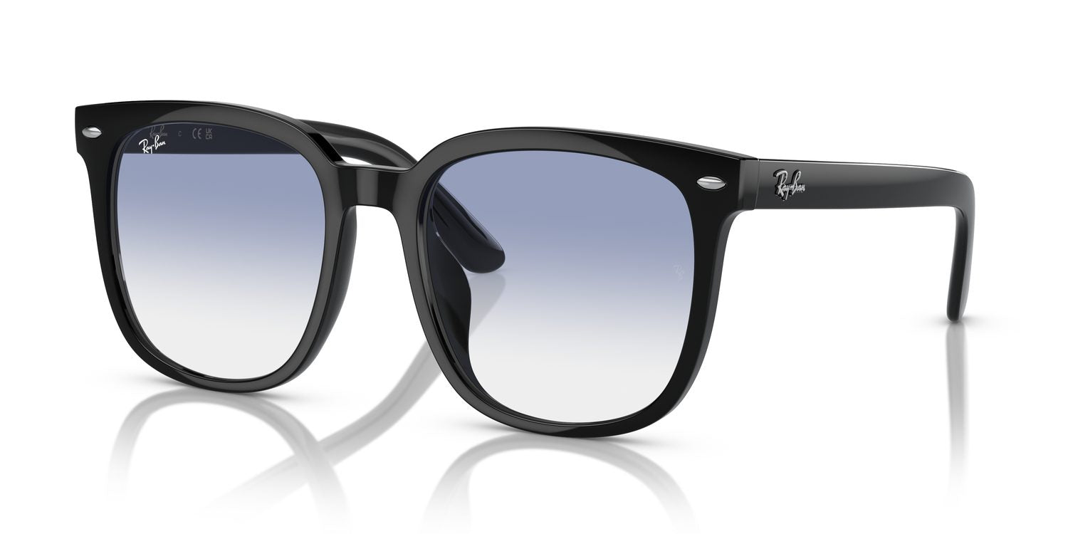 Ray-Ban | 0RB4401D