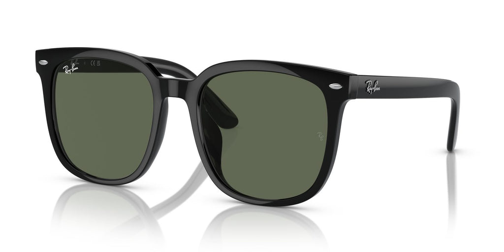 Ray-Ban | 0RB4401D
