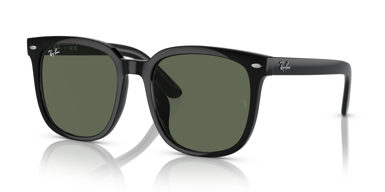 Ray-Ban | 0RB4401D