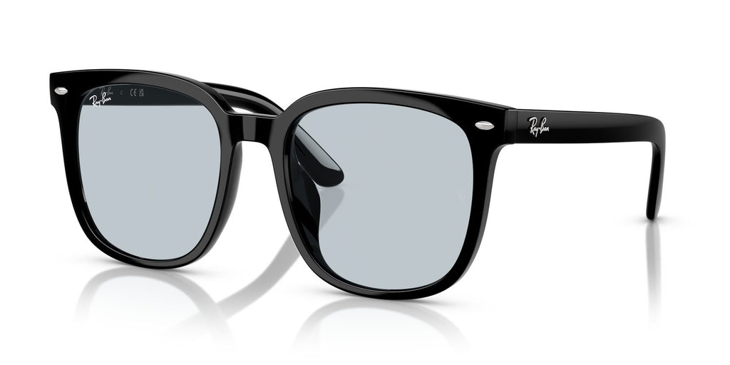 Ray-Ban | 0RB4401D
