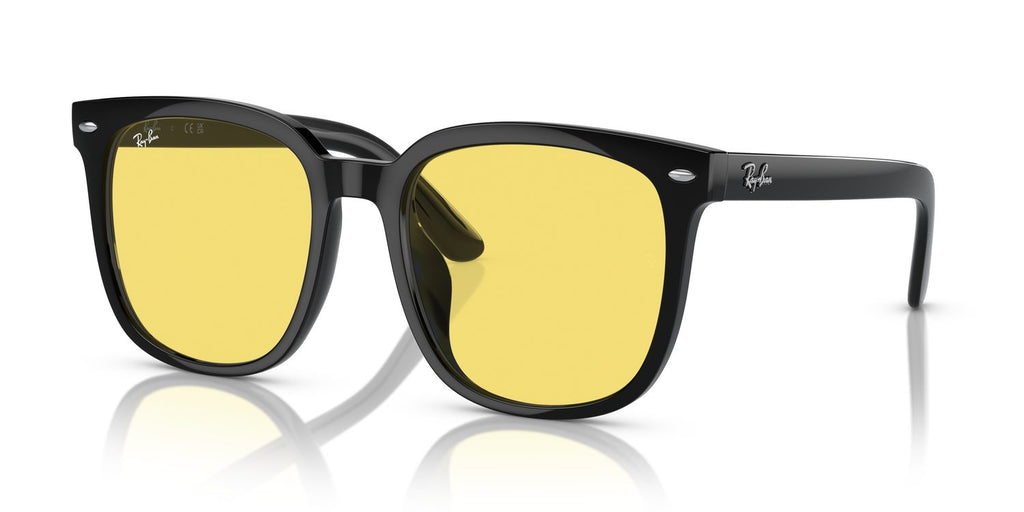 Ray-Ban | 0RB4401D