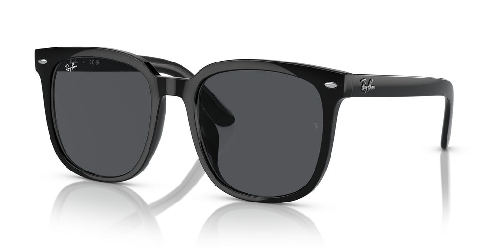 Ray-Ban | 0RB4401D