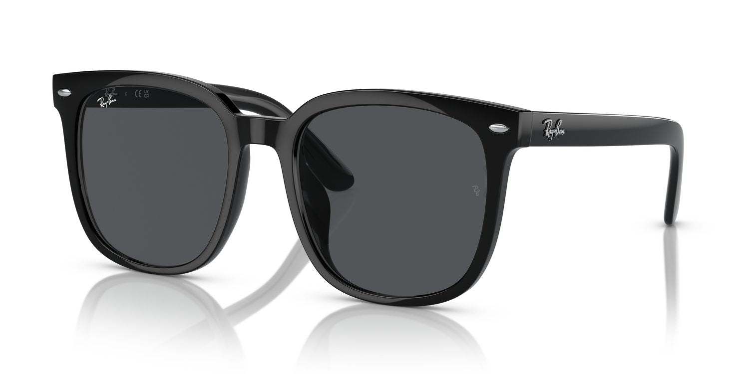 Ray-Ban | 0RB4401D