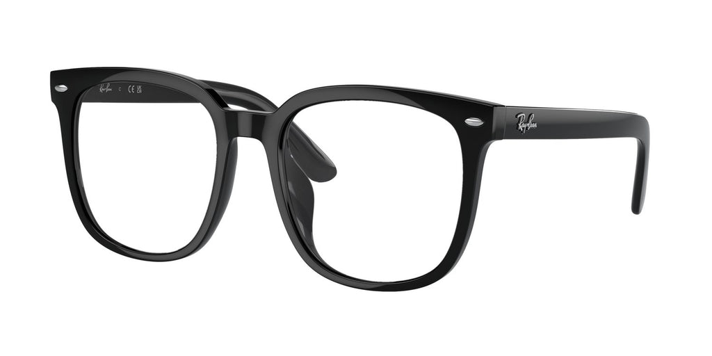 Ray-Ban | 0RB4401D