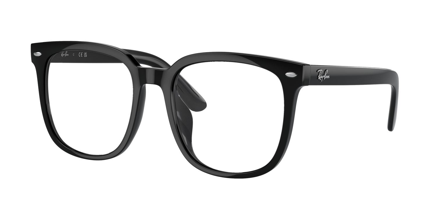 Ray-Ban | 0RB4401D