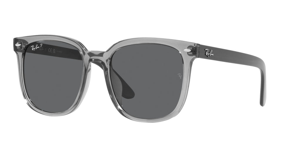 Ray-Ban | 0RB4401D