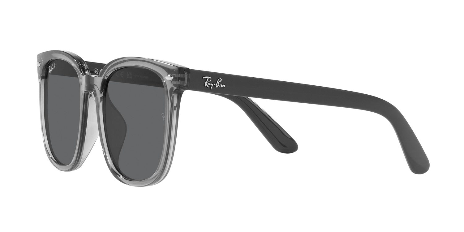 Ray-Ban | 0RB4401D