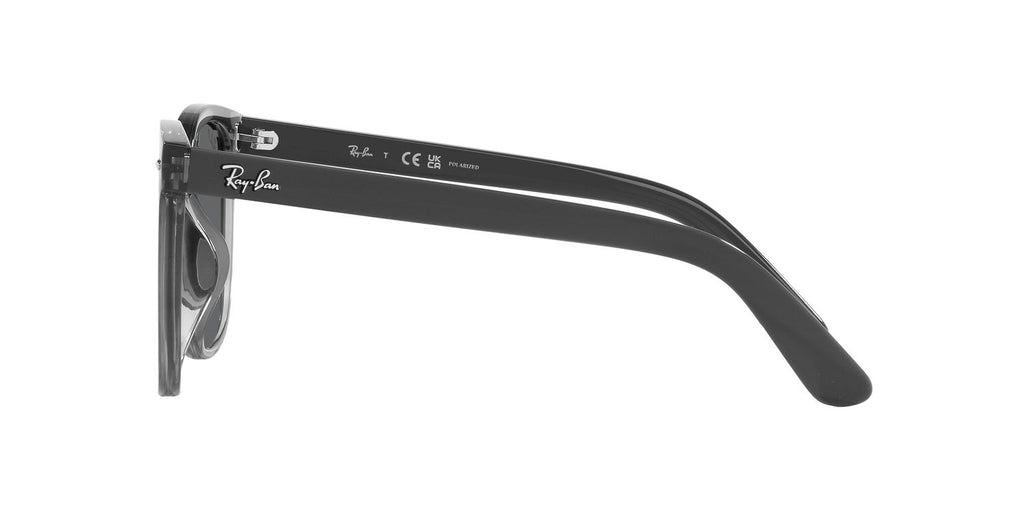 Ray-Ban | 0RB4401D