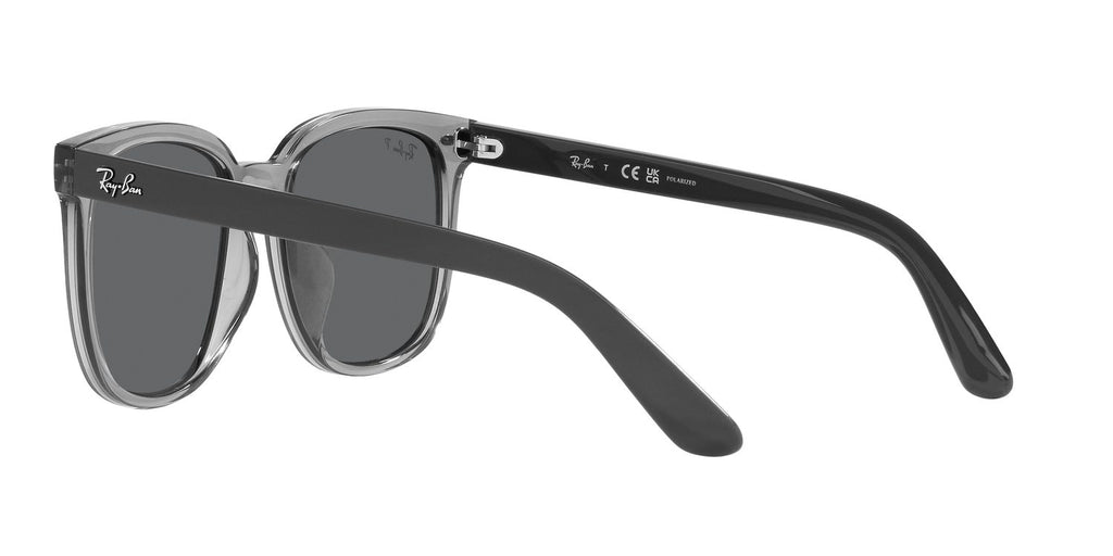 Ray-Ban | 0RB4401D