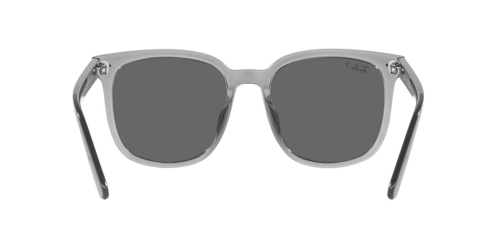 Ray-Ban | 0RB4401D