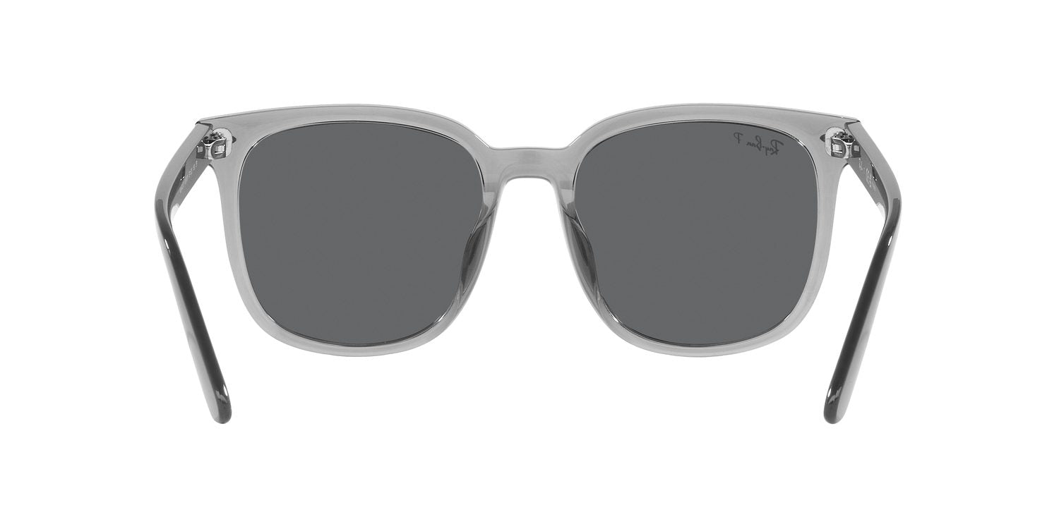 Ray-Ban | 0RB4401D