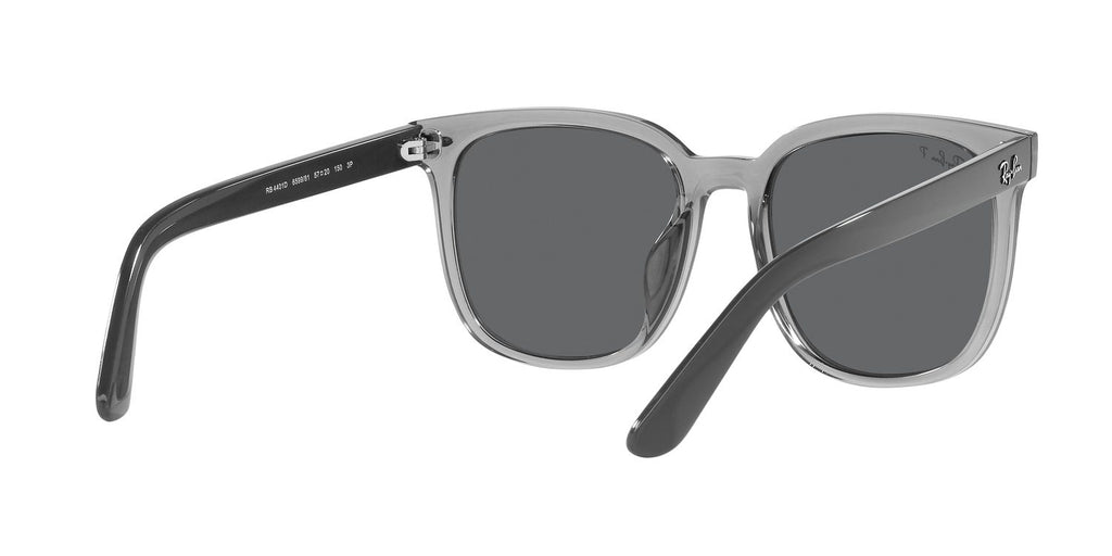 Ray-Ban | 0RB4401D