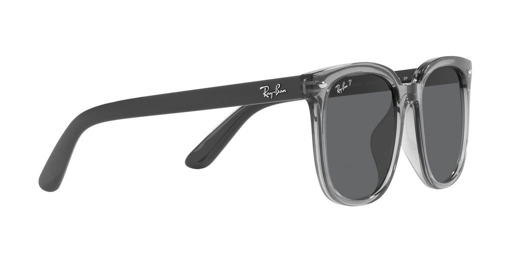 Ray-Ban | 0RB4401D