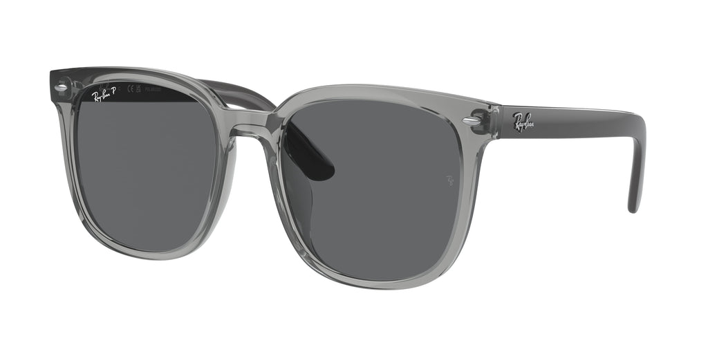 Ray-Ban | 0RB4401D