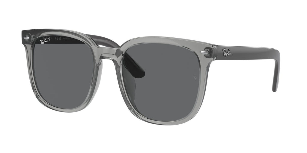 Ray-Ban | 0RB4401D