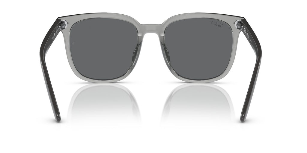 Ray-Ban | 0RB4401D