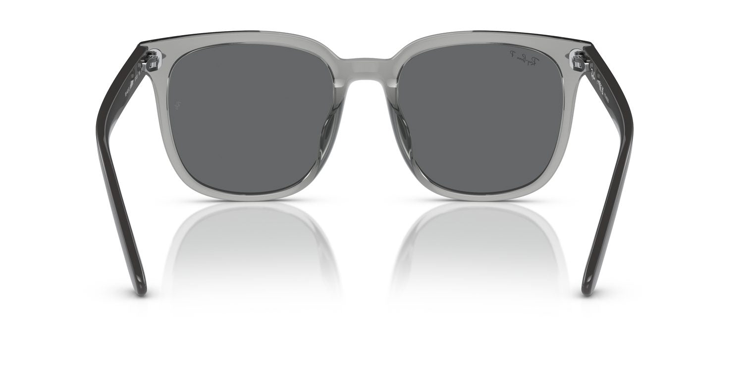 Ray-Ban | 0RB4401D