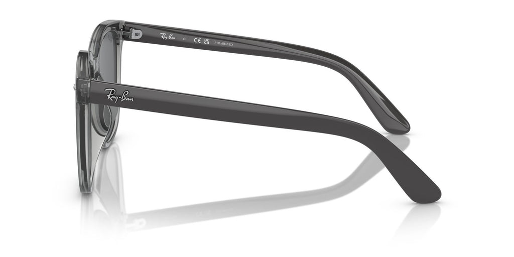 Ray-Ban | 0RB4401D