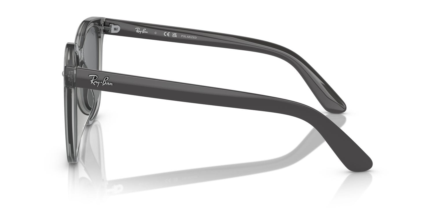 Ray-Ban | 0RB4401D