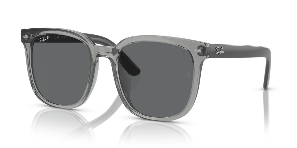 Ray-Ban | 0RB4401D