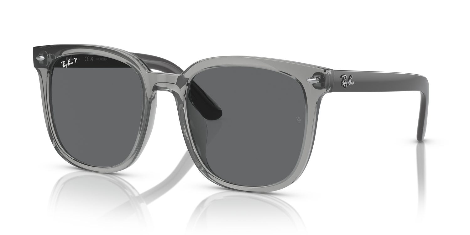 Ray-Ban | 0RB4401D