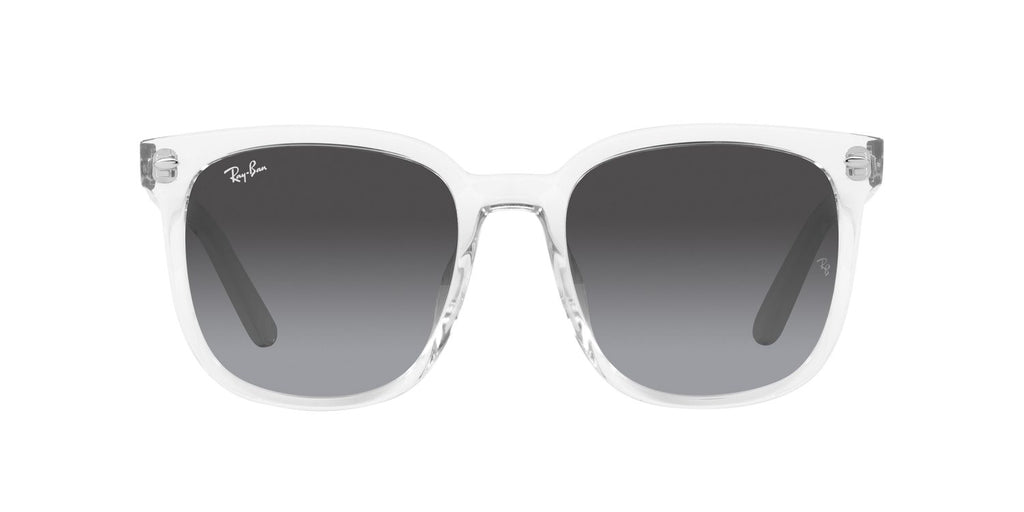 Ray-Ban | 0RB4401D