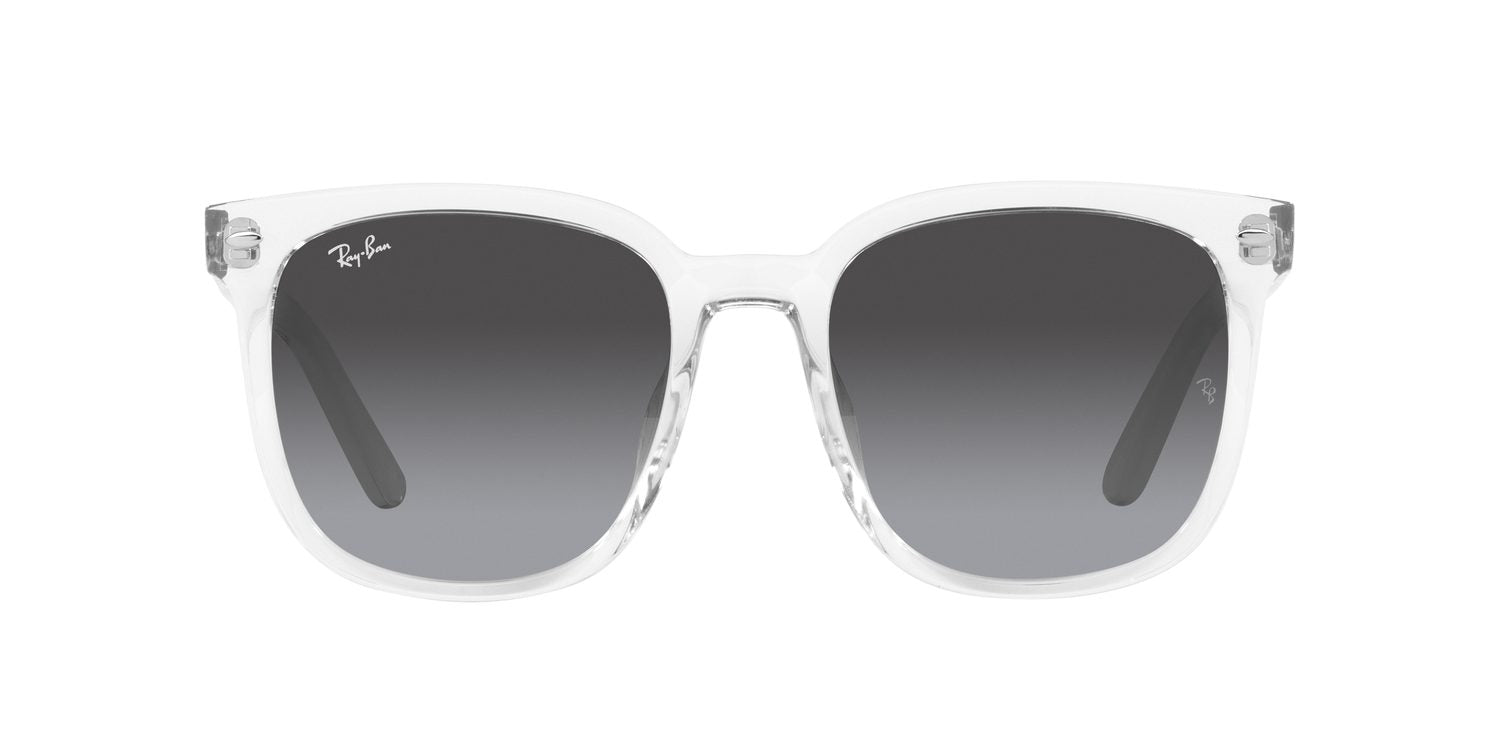 Ray-Ban | 0RB4401D