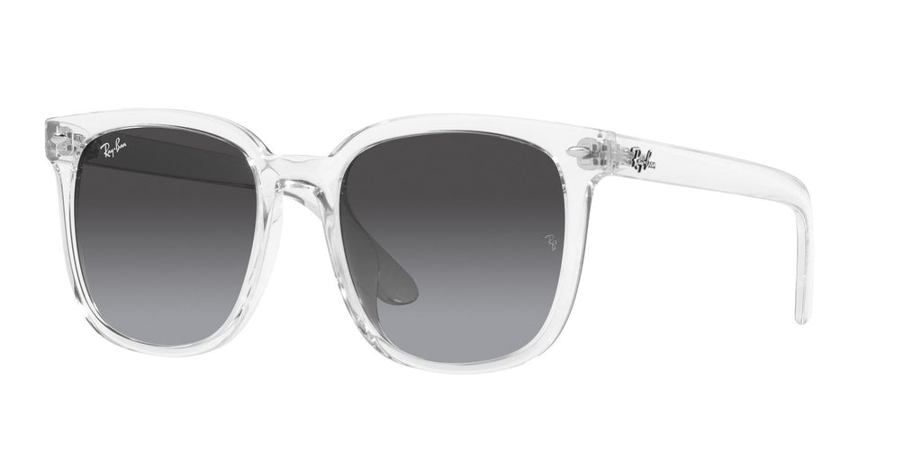 Ray-Ban | 0RB4401D