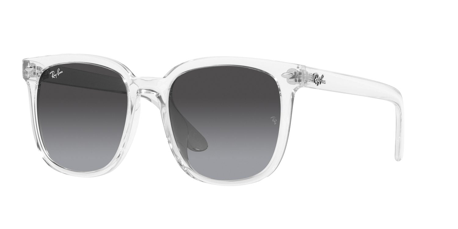 Ray-Ban | 0RB4401D
