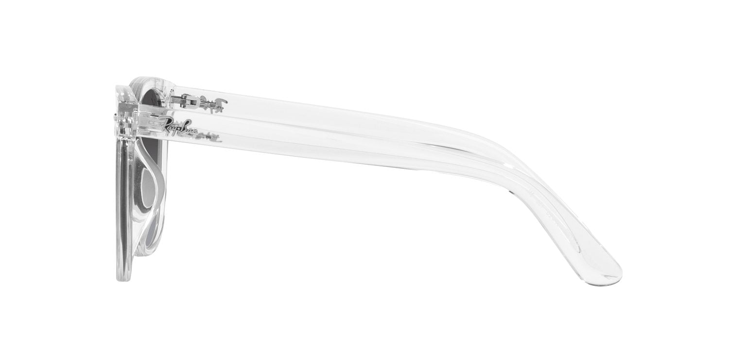 Ray-Ban | 0RB4401D