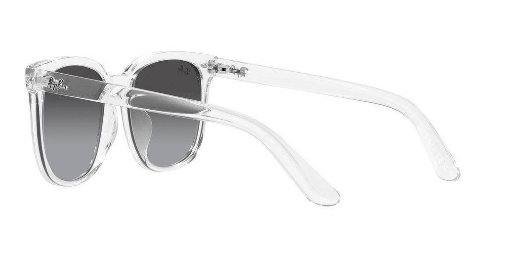 Ray-Ban | 0RB4401D