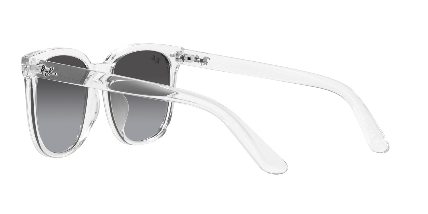 Ray-Ban | 0RB4401D