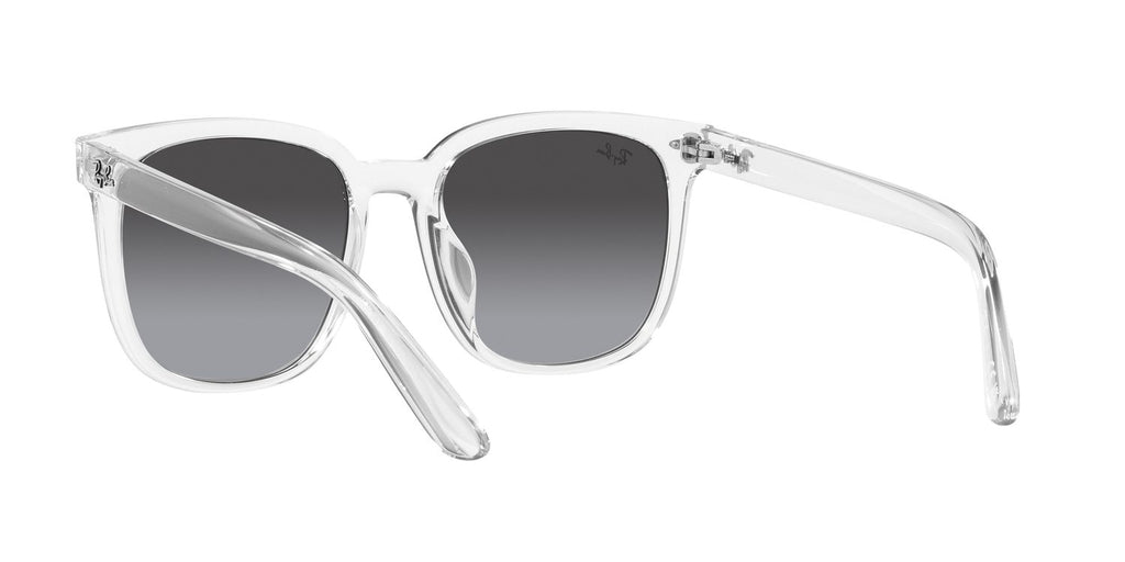Ray-Ban | 0RB4401D