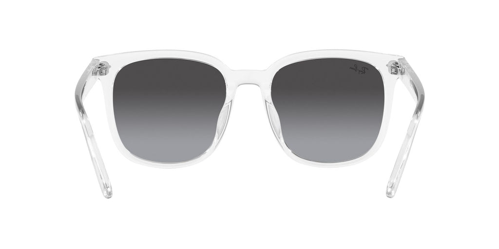 Ray-Ban | 0RB4401D