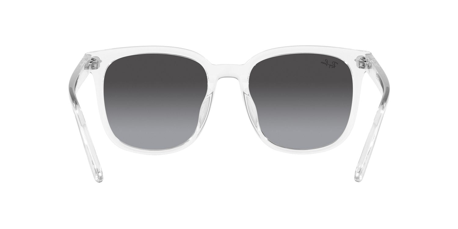 Ray-Ban | 0RB4401D