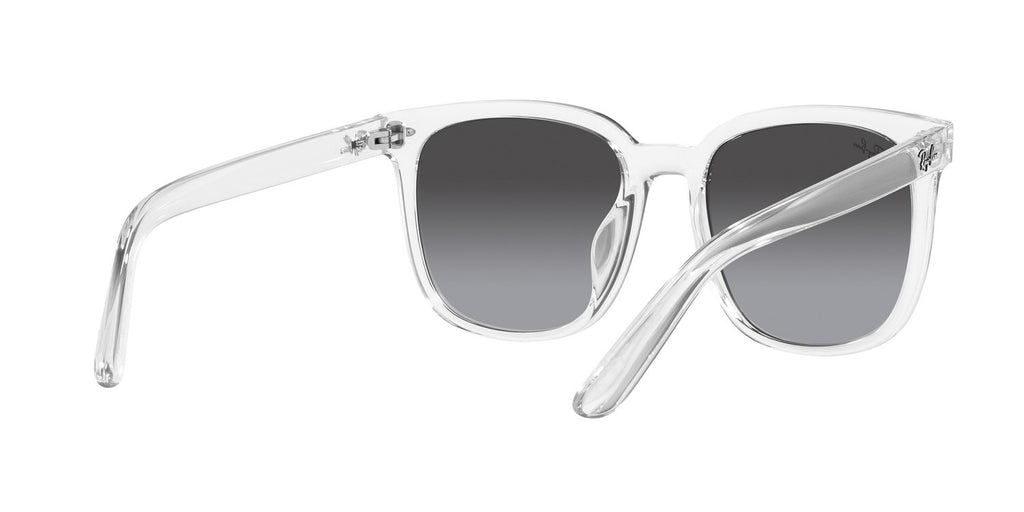 Ray-Ban | 0RB4401D